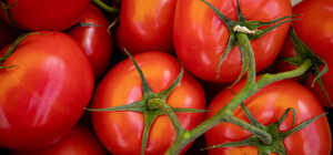 Де на цьому тижні у Києві пройдуть продуктові ярмарки. Адреси