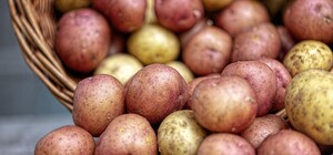 Где в эти выходные в Киеве пройдут продуктовые ярмарки. Адреса