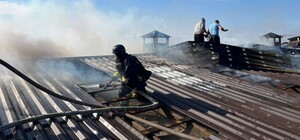 РФ обстреляли птицеферму в Одесской области: погибли птицы