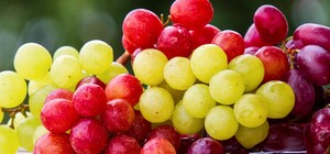 Де цими вихідними у Києві пройдуть продуктові ярмарки. Адреси