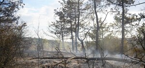 РФ обстреляла Одесский район: горели лес и сухая трава
