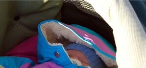 Почти 200 малышей на прошлой неделе осчастливили своим появлением родителей