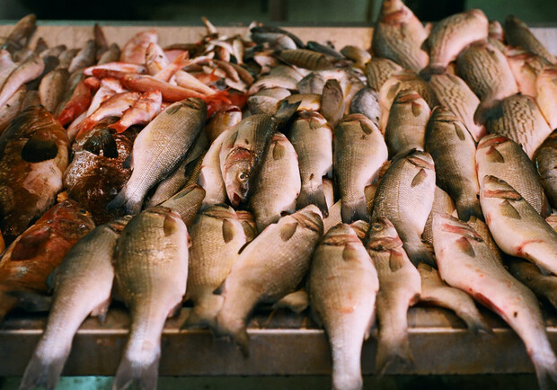На одесских рынках продавали рыбу без документов.
Фото - nah.wikipedia.org