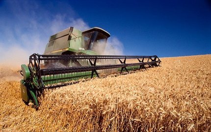Зерно должно быть собрано в полном объеме и в срок. Фото-zerno-ua.com
