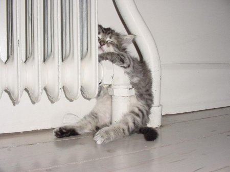 Одесситам обещаю, что тепло в квартирах будет. Фото-ru.tsn.ua