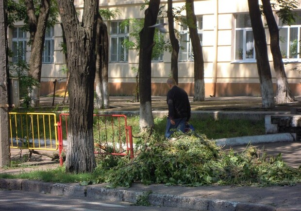В Одессе будут перерабатывать упавшие деревья.
Фото - Валерия Егошина.
