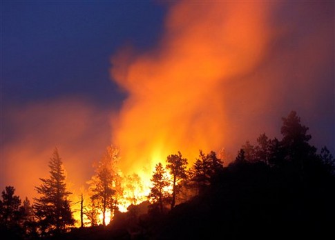 Чаще всего к пожарам приводит человеческая неосторожность. Фото-segodnya.ua