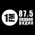 Справочник - 1 - FM 1 Первое радио