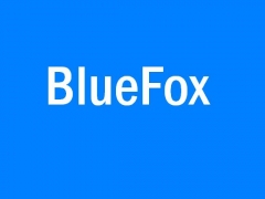 Справочник - 1 - Blue Fox