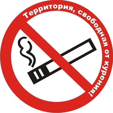 На Трассе здоровья пройдет флешмоб против курения.
Фото - vkontakte.ru.
