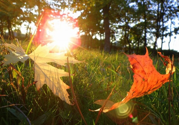 Настоящая осень нагрянет в Одессу не раньше середины октября.
Фото - liveinternet.ru.
