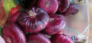 Крымские налоговики берут взятки луком