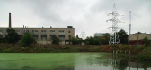 В одесском парке высушат пруды