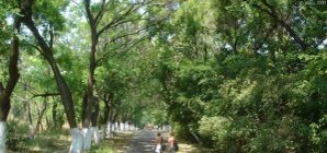 Одесская мэрия раздает 