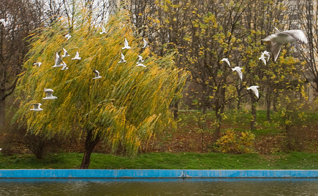 Осень в Одессе пока не богата на дожди.
Фото - Виктор Павлов.