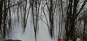 В Харькове опавшие листья сжигают, подбрасывают соседям или утепляют ими огороды