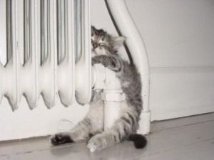 Городская власть уверяет, что во всех домах уже тепло. Фото-segodnya.ua