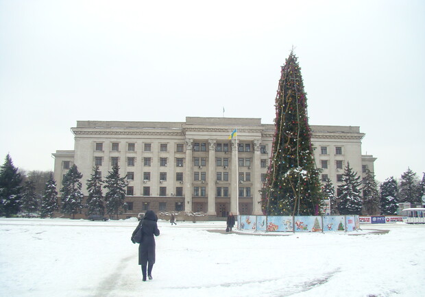 Главная елка области поменяет прописку.
Фото - odessa-life.od.ua.