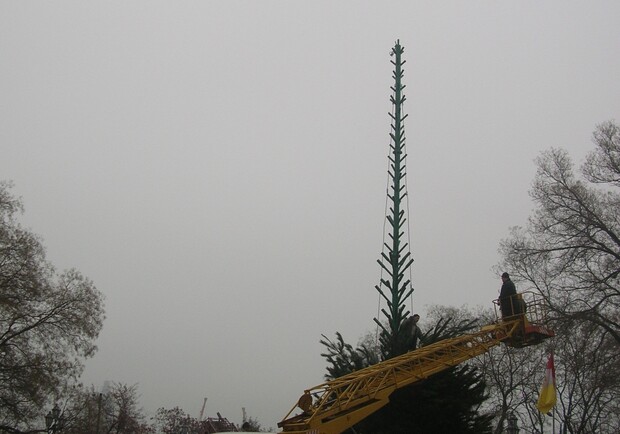 Одессу заполонили новогодние елки.
Фото - Ирина Кипоренко.