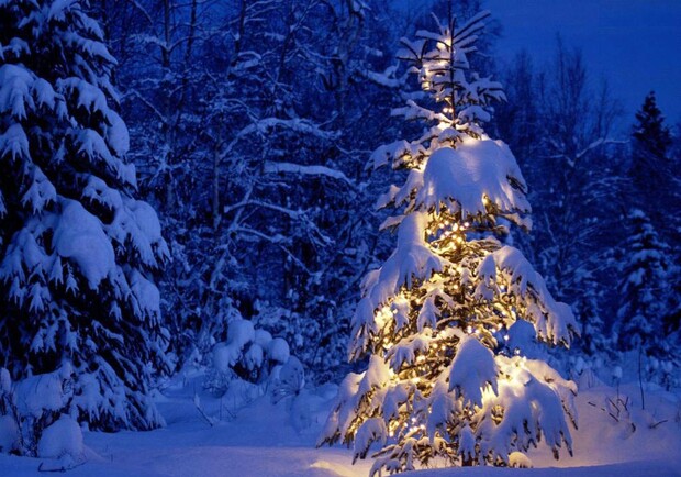 Снег на Новый год будет только в Карпатах. Фото - ru.tsn.ua