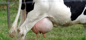 Жители Луганщины собираются устроить 