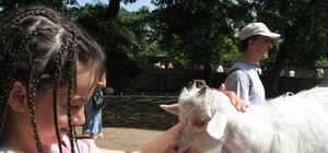 Прогуливаемся по проспекту Победы: Какой вуз появился благодаря сахарным магнатам и где садил яблони Довженко