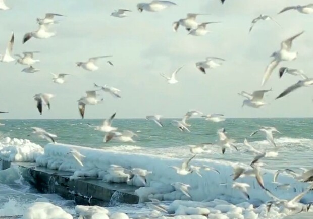 Одессит снял красивое видео о зимнем море. Фото - prt sc. 