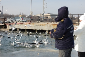 В Ильичевске спасли замерзших птиц. Фото - пресс-служба облМЧС.