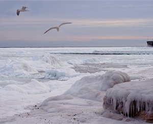 Замерзшее море также привлекает людей, как и летом. Фото - grand-ukraine.com.ua.