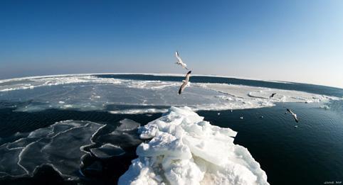 Судя по прогнозу, льды и снег в Одессе скоро растают.
Фото Дмитрия Докунова и Jane Mp.