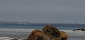 Античная амфора, которую вынесло волнами в Крыму, оказалась ровесницей Христа