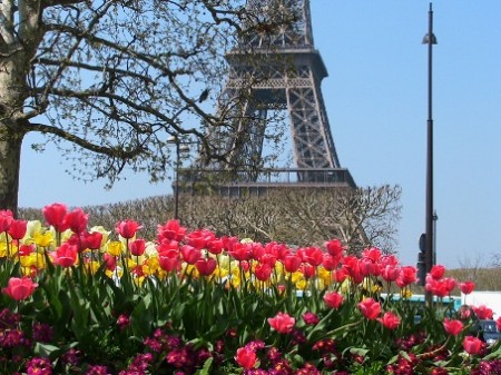 В Одессу нагрянет "Французская весна".
Фото - dp.ric.ua