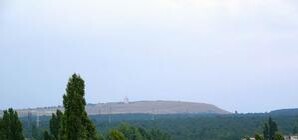 Симферопольцам вернули городской лес