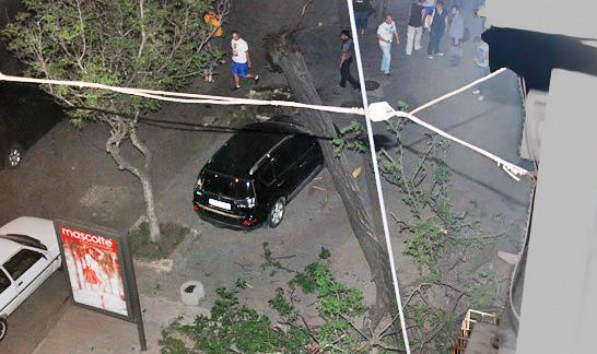 В центре Одессы опасно парковать машины под деревьями. Фото - timer.od.ua