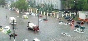 Самые веселые мемы и приколы об 