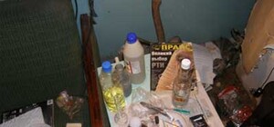 Запорожье наркоманское: за несколько дней изъяты кокаин, метамфетамины и  гектары конопли на миллионы