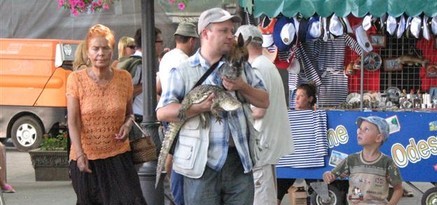 Фотографу выписали штраф, а животных отправили в зоопарк. Фото - segodnya.ua