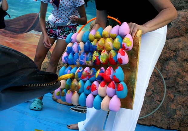 Дельфинчики играли яркими красками. Фото: пресс-центр проекта "Алтарь Наций".