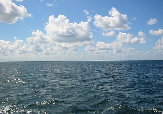 Пляжники спокойно могут лезть в воду. Фото с сайта: yugopolis.ru.