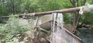 Стоки из алчевской колонии стекают в реку