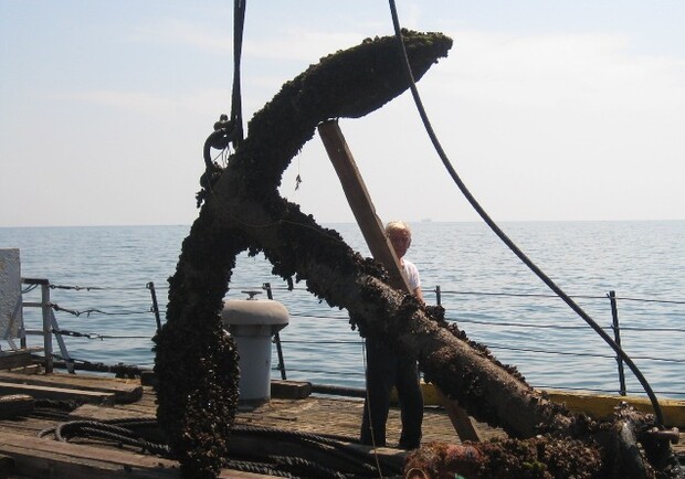 Морского гиганта выловили со дна. Фото: пресс-служба МИУ.