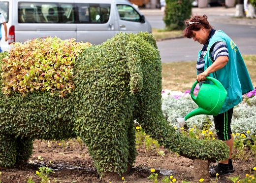 В Одессе появился слоник, сделанный из растений. Фото - odessa.ua