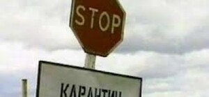 Из-за сибирской язвы к врачам обратились еще 10 человек