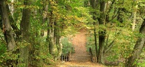 В Харькове создадут ландшафтный парк