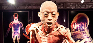 Сегодня в Киеве стартует выставка из человеческих тел, костей и органов