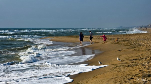 В выходные нельзя пропустить пляж. Фото с сайта: vk.com/pearlbythesea.