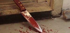 Под Одессой девушка зарезала родного брата кухонным ножом