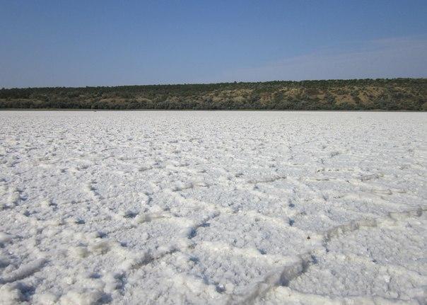 Сейчас на месте водоема образовываются многотонные залежи соли. Фото: Дмитрий Жданов.