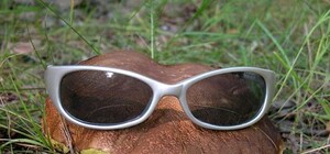 Фотофакт: в Энергодаре нашли гигантский боровик