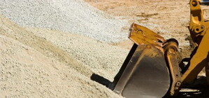 В Донецкой области незаконные добытчики песка уничтожают дубовую рощу